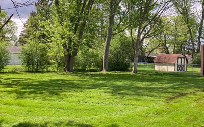 Photo of Kimberley D.'s yard after getting lawn care in Kingwood, TX