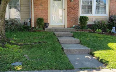 Photo of Linwood B.'s yard after getting lawn care in Nottingham, MD