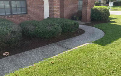 Photo of Ashley W.'s yard after getting lawn care in Amesbury, MA