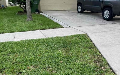 Photo of Betty J.'s yard after getting lawn care in Inglewood, CA