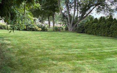 Photo of Steven e.'s yard after getting lawn care in Algonac, MI