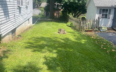 Photo of Ala M.'s yard after getting lawn care in Midlothian, IL
