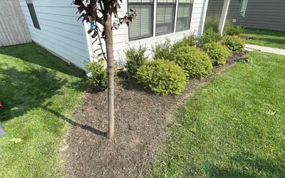 Photo of Jesse S.'s yard after getting lawn care in Beckley, WV
