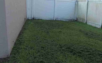 Photo of Dawn N.'s yard after getting lawn care in Billerica, MA