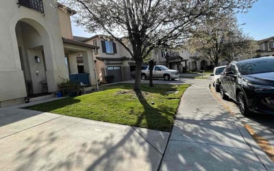 Photo of Michelle R.'s yard after getting lawn care in Antioch, CA