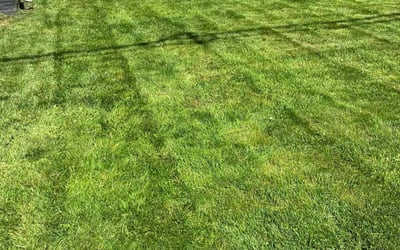 Photo of Keith D.'s yard after getting lawn care in Buckley, WA