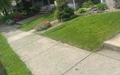Photo of Martin W.'s yard after getting lawn care in Hellertown, PA