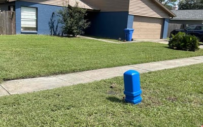 Photo of John B.'s yard after getting lawn care in Lutz, FL
