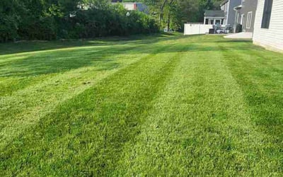 Photo of Heather D.'s yard after getting lawn care in Ephrata, PA
