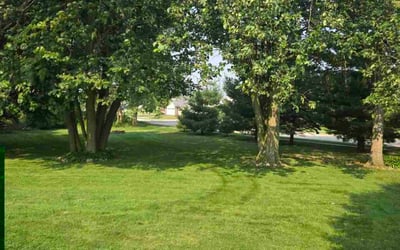 Photo of Sandra O.'s yard after getting lawn care in Prairie Village, KS