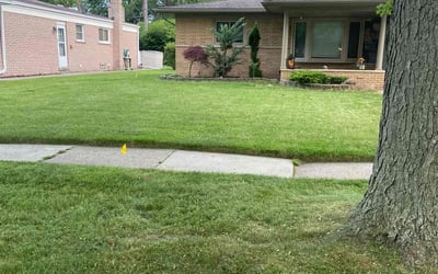 Photo of Phil P.'s yard after getting lawn care in Bartow, FL