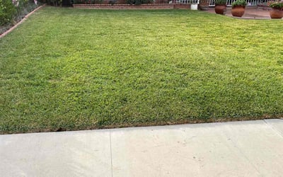 Photo of John H.'s yard after getting lawn care in Fullerton, CA