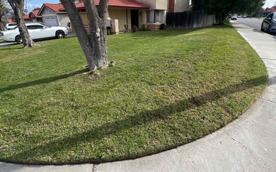 Photo of Brian R.'s yard after getting lawn care in Colton, CA