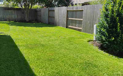 Photo of Renae B.'s yard after getting lawn care in San Antonio, TX