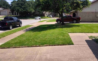 Photo of Nicholas R.'s yard after getting tree care in Davenport, FL