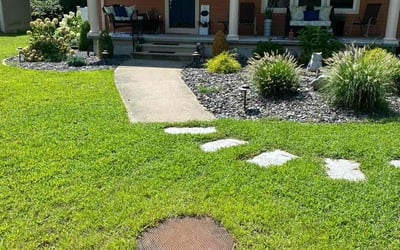 Photo of David W.'s yard after getting lawn care in Springfield, MA
