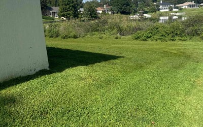 Photo of Courtney W.'s yard after getting lawn care in Avon Lake, OH