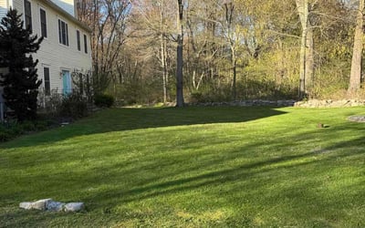 Photo of Bill S.'s yard after getting lawn care in Old Saybrook, CT
