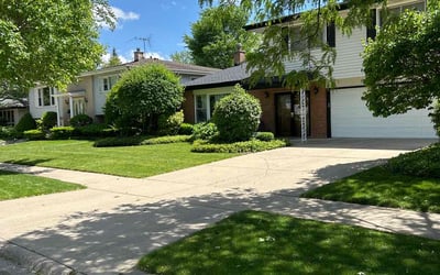Photo of Adrienne S.'s yard after getting lawn care in Wilmette, IL