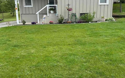 Photo of Monica R.'s yard after getting lawn care in Menifee, CA