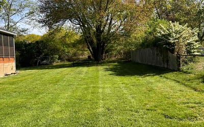 Photo of Amelia M.'s yard after getting lawn care in Swansea, MA