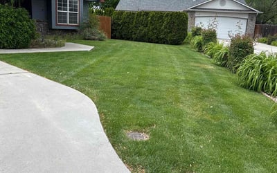 Photo of Donald M.'s yard after getting lawn care in Sherwood, OR