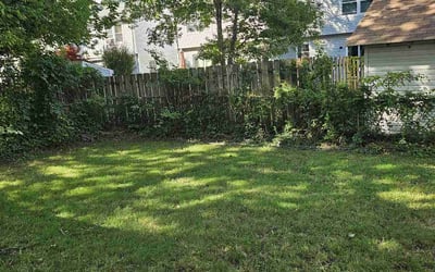 Photo of Rachel S.'s yard after getting lawn care in Sussex, NJ