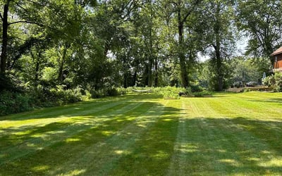 Photo of Laura S.'s yard after getting lawn care in Longmeadow, MA
