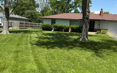 Photo of Jenny J.'s yard after getting lawn care in Lynchburg, VA