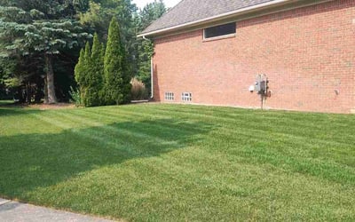 Photo of Crystal S.'s yard after getting lawn care in Westland, MI