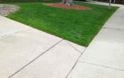 Photo of Charles K.'s yard after getting lawn care in Lafayette, CO