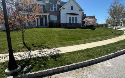 Photo of Jean A.'s yard after getting lawn care in Phoenixville, PA
