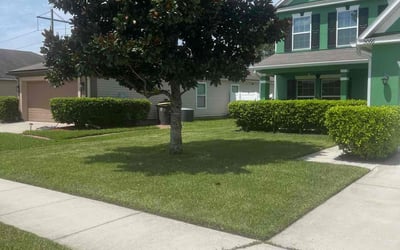 Photo of Armand G.'s yard after getting lawn care in New Orleans, LA