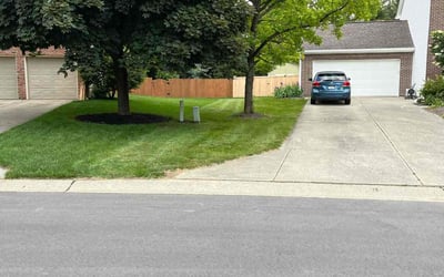 Photo of Albert D.'s yard after getting lawn care in Wethersfield, CT