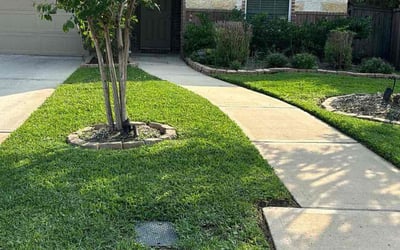 Photo of Ryan F.'s yard after getting lawn care in Spring, TX