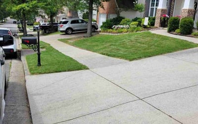 Photo of Liudmyla K.'s yard after getting lawn care in Buford, GA