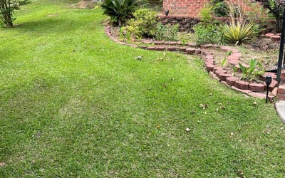 Photo of Christopher J.'s yard after getting lawn care in Winnsboro, SC