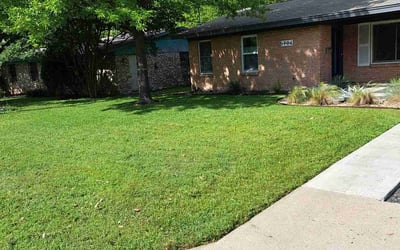 Photo of Jesse L.'s yard after getting lawn care in Grand Blanc, MI