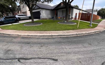 Photo of William C.'s yard after getting lawn care in Augusta, GA