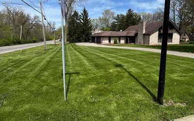 Photo of Lupe S.'s yard after getting lawn care in Swanton, OH