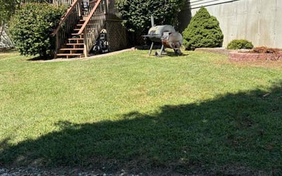 Photo of Mc P.'s yard after getting lawn care in Warrenton, MO