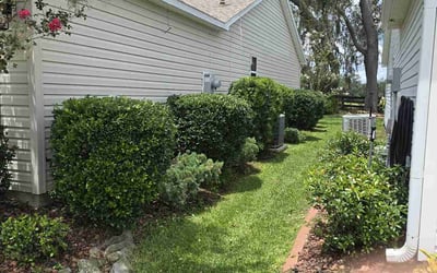 Photo of Ricki V.'s yard after getting lawn care in East Peoria, IL