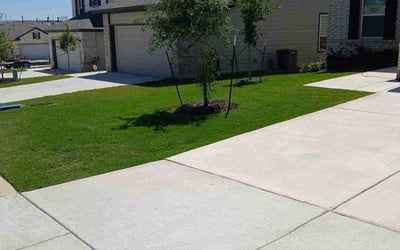 Photo of Lateasha W.'s yard after getting lawn care in San Antonio, TX