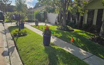 Photo of Anthony E.'s yard after getting lawn care in McAllen, TX
