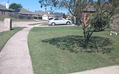 Photo of Amanda D.'s yard after getting lawn care in Saugus, MA