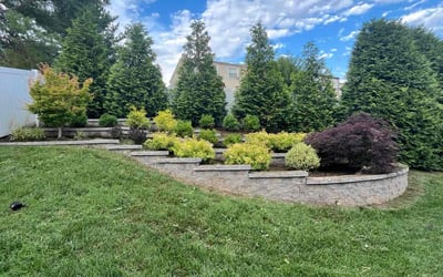 Photo of Allison I.'s yard after getting lawn care in Davenport, FL