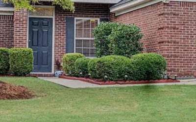 Photo of Michael P.'s yard after getting lawn care in Prattville, AL