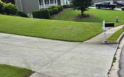 Photo of Arhum M.'s yard after getting lawn care in Plainfield, NJ