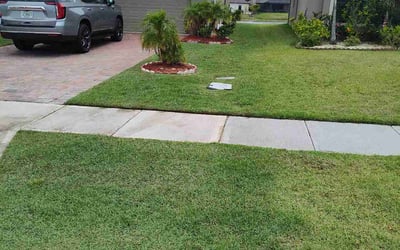 Photo of Linda H.'s yard after getting lawn care in Satellite Beach, FL