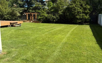 Photo of Dustin S.'s yard after getting lawn care in Concord, NC